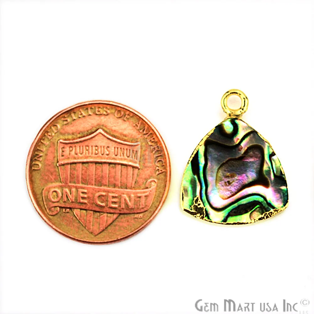 Abalone Shell 14mm Trillion Shape Gold Electroplated Gemstone Connector