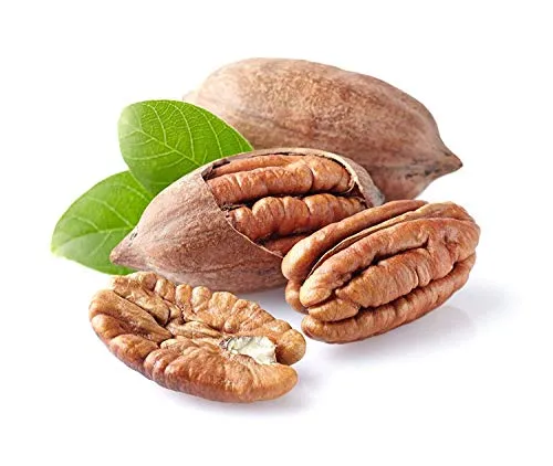 Anna and Sarah Premium Georgian Raw Fresh Pecans in Shell, 2 Lbs