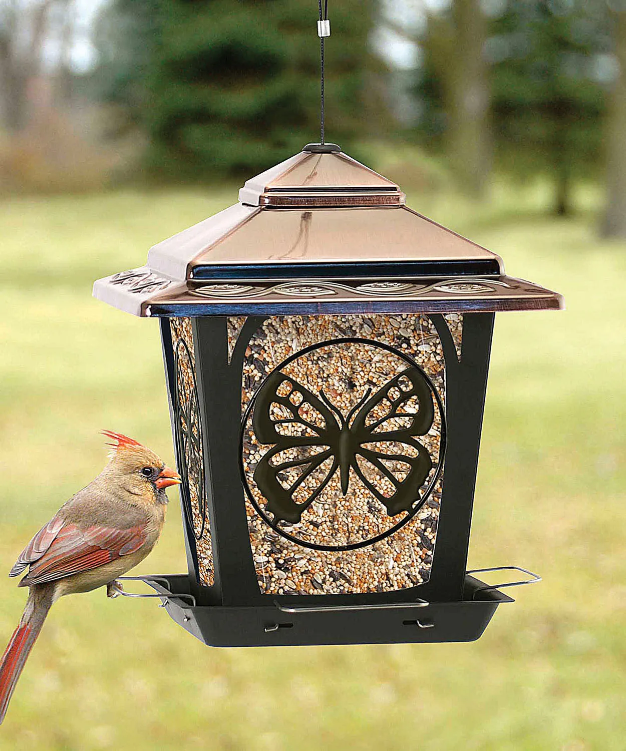 Audubon/woodlink - Hopper Style Bird Feeder With Buttefly Design