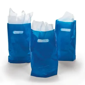 BAG - BLUE PLASTIC 9" x 12"       50 CT/UNIT