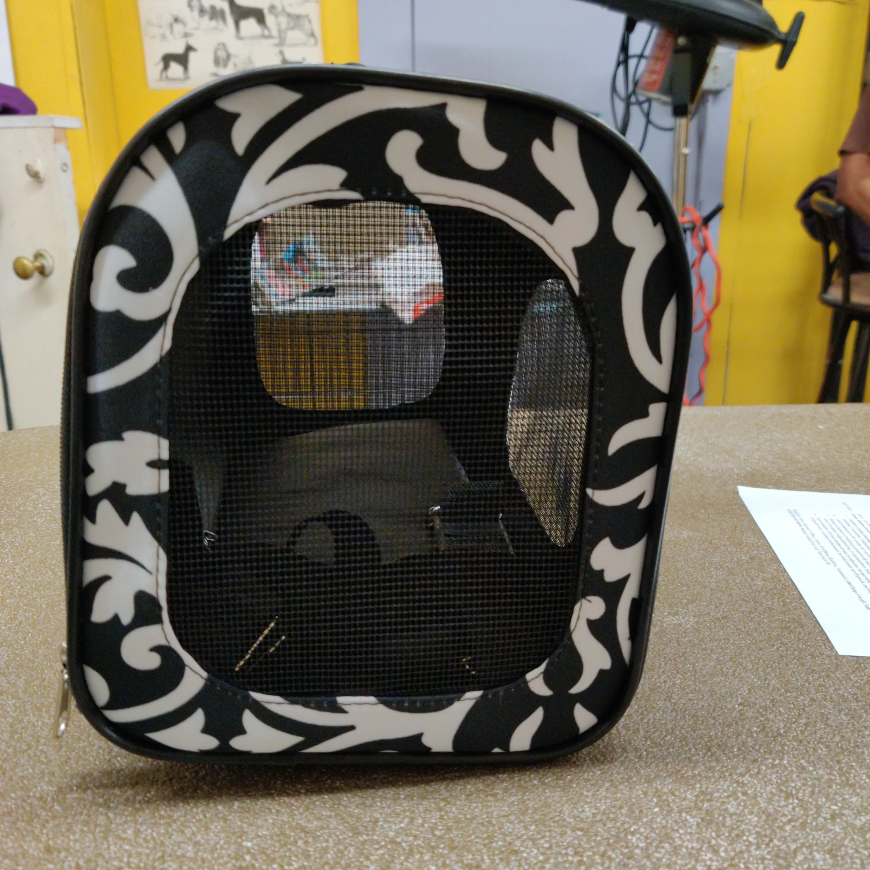 Black Swirl Cat Carrier