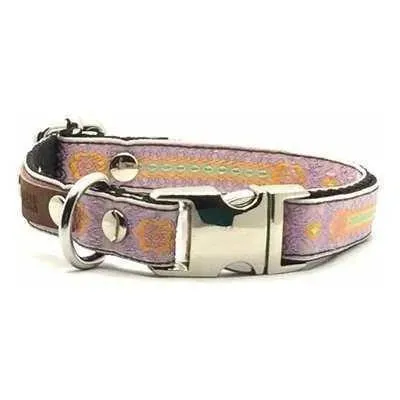 Designer Doggo Delight Set: Engraved Buckle Collar