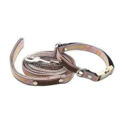 Designer Doggo Delight Set: Engraved Buckle Collar