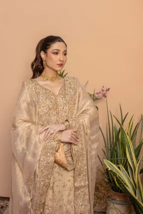 Khayal by Shaista Hasan - Copper crush - Maysuri & Jamawar - 3 Piece