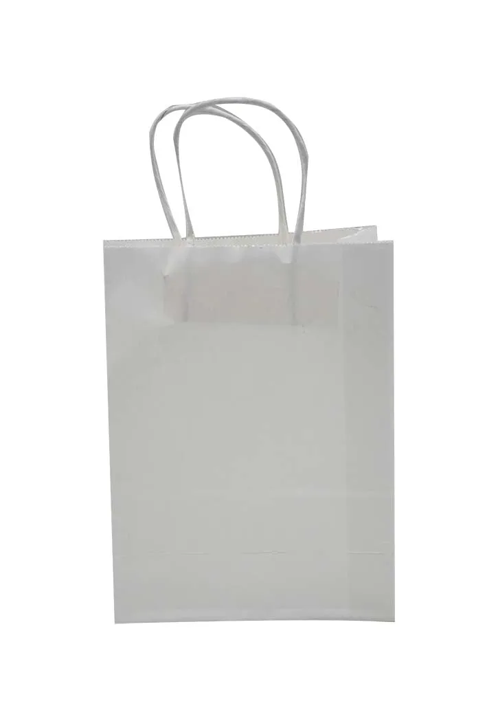 Paper Gift Bag (15x8x21CM)