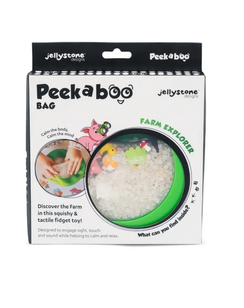 Peekaboo Sensory Squishy Bag