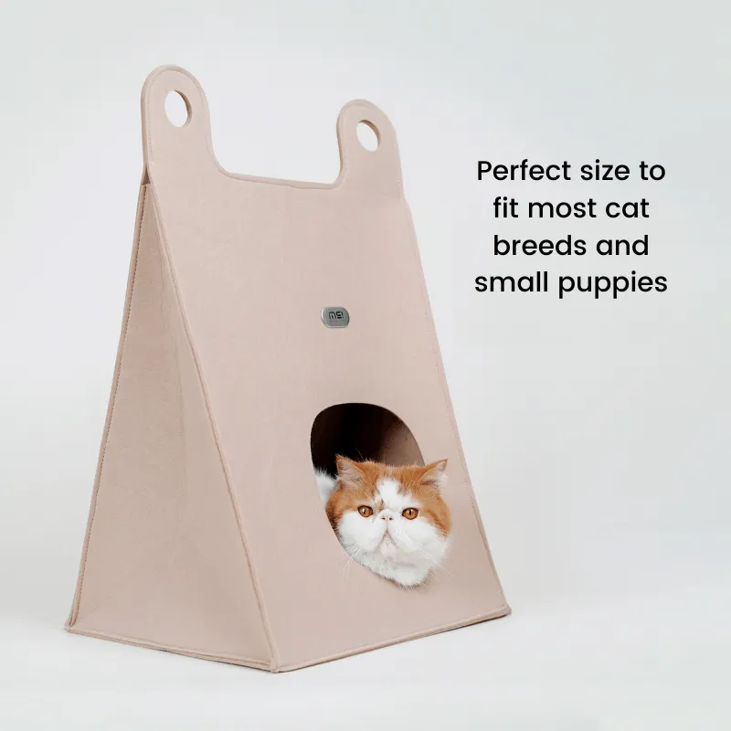 Tote Bag Style Cat Bed And Scratcher